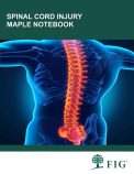 Nurse Life Care Planning Maple Notebooks – My FIG Treehouse